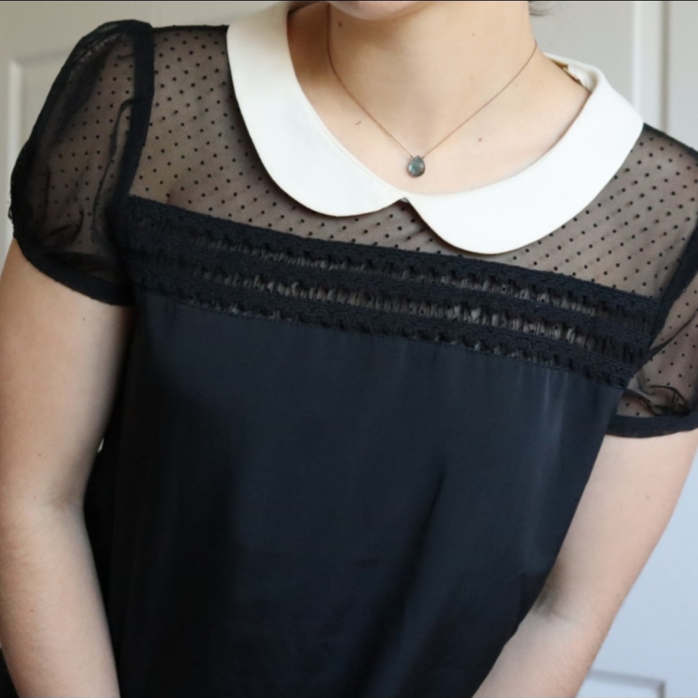 Black/White Sheer Peter Pan Collar Blouse